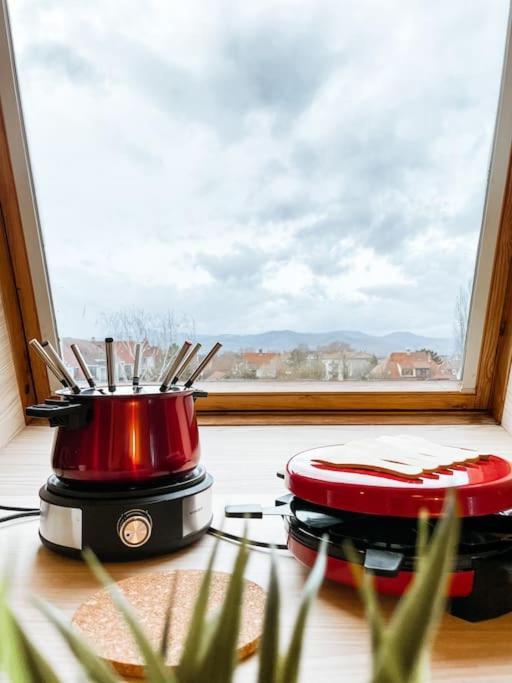Apartamento Lumineux Avec Vue Sur Les Vosges Colmar Exterior foto